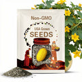 Canary Melon Seeds - Organic, Heirloom, Open Pollinated, Non GMO - Grow Indoors, Outdoors, In Pots, Grow Beds, Hydroponics & Aquaponics