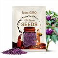 Purple Pepper Seeds - Organic, Heirloom, Open Pollinated, Non GMO - Grow Indoors, Outdoors, In Grow Beds, Soil, Hydroponics, Aquaponics