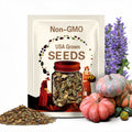 Moranga Winter Squash Seeds: Brazilian Heirloom, Open Pollinated