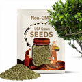 Sea Grape Tree (Coccoloba Uvifera) Seeds - NEW 2025 & LIMITED BATCH