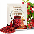 100 RED RASPBERRY Rubus Idaeus Fruit Bush Vine Seeds