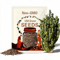 Cereus peruvianus monstrosus, Monstrose Apple Cactus (20-seeds per packet)