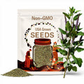 Papalo Quilquina 50 SEEDS Papaloquelite - Yerba Porosa- Porophyllum ruderale Heirloom Herb Seeds Naturally Grown FL USA