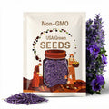 Purple Violet Pansy Seeds - Cold Resistant - Open-Pollinating - Self-Pollinating - Draft Resistant - Plant in late Summer/Spring #201