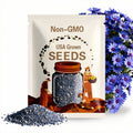 Blues Blue Daisy Seeds – Heirloom, Striking Blue Blooms, Easy to Grow & Unique Garden Flower | 50 Seeds