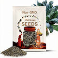 Organic Lacinato Nero Kale Dinosaur Four Season Heirloom Staple Crop