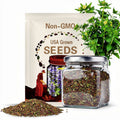 Aztec Wild Tobacco ~Nicotiana rustica~ Organic Seeds ~ Sacred Hopi Plant ~ Indian Native Heirloom