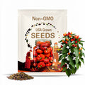 10+ Aji Cachucha Pepper Seeds