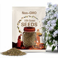 25 Seeds|May Breeze Woodland Phlox Seeds - Cold & Drought Resistant - Evergreen - Fast Growing - Potted - Plant in early Spring/Fall #90