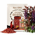 Mexican Red Morning Glory Ipomoea Coccinea (Qty 30) Seeds 2025 NC Organic