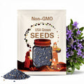 10 Blue Hubbard Squash Seeds. Ships free